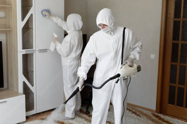 Best Attic Mold Remediation in Cuyahoga Falls, OH